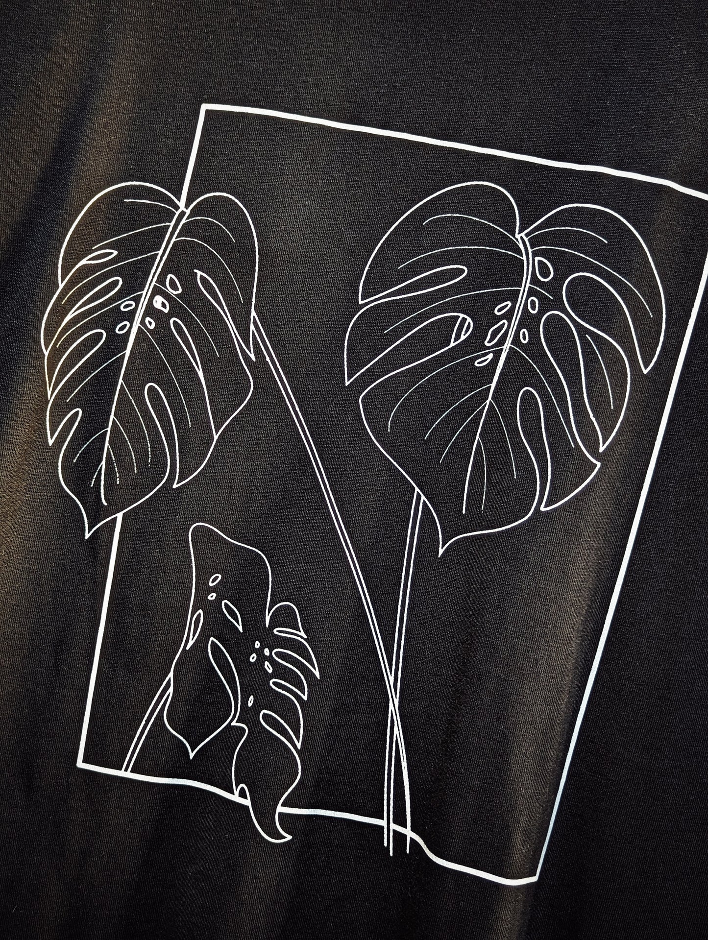 THE ORIGINAL MONSTERA